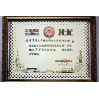 青海省科學(xué)技術(shù)進步一等獎
